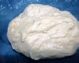 Foto langkah ke 3 dari resep Pizza no knead bread (tanpa ulen/tanpa telur) 1x proofing.