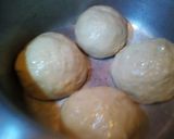 A picture of step 2 of Corn flour Chapati dough.
