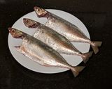 A picture of step 2 of Mackerel Fish Curry.