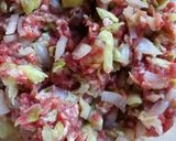 Foto del paso 3 de la receta: Gyozas de cerdo y col 🐷