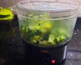 Foto del paso 1 de la receta: Brócoli a los 3 quesos para comer frío o tibio