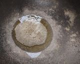 A picture of step 2 of Idli Upma.