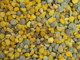 Postrecito de ricota o requesón con polen corbicular y miel de abejas 🐝🍯más nueces en solo un minuto