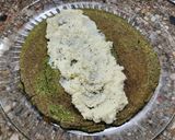 Foto del paso 3 de la receta: 🌯🫔Wrap de espinaca y avena 🌯 Listo en 5'🫔🌯