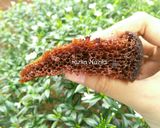 Foto langkah ke 8 dari resep Bolu Karamel (No Mixer No Oven).