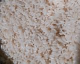A picture of step 2 of Custard Flavoured Roasted Ground Rice Phirni.