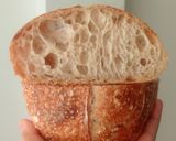 Foto langkah ke 20 dari resep Basic Sourdough Bread 96% (Oven Tangkring).