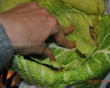 A picture of step 9 of Stuffed whole cabbage.