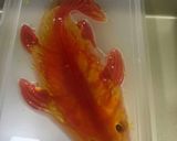 Hình bước làm 3 của món Fish jelly (thạch cá chép)
