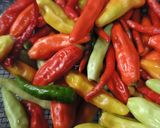Foto langkah ke 1 dari resep Acar Cabe Rawit.