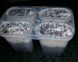 Foto langkah ke 3 dari resep Milk and Oreo Popsicle.