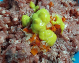 Foto del paso 1 de la receta: Hamburguesa casera en pan de papa