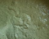 A picture of step 4 of Pholourie.