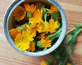 Foto del passaggio 1 della ricetta Polvere di petali di calendula