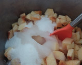 Foto del paso 3 de la receta: Mermelada de membrillo
