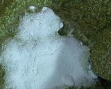 A picture of step 1 of Hariyali paniyaram.