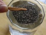 चिया सीड्स पानी (Chia seed Pani recipe in Hindi)