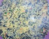A picture of step 3 of Danbum cuscus da zogale.
