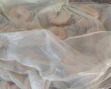 Foto del paso 2 de la receta: Rosquitas fáciles caseras con harina leudante pureza!!!