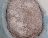 Foto langkah ke 17 dari resep Orange Peel Choco Sourdough Bread (Open Bake Method).