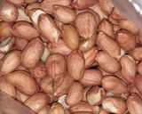 صورة لخطوة 1 من وصفة شباح الصفرة بالكاوكاو