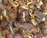 Foto del paso 6 de la receta: Marucha con cebolla caramelizada con salsa de Soja!