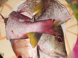 Ikan Kuah Kuning khas Papua