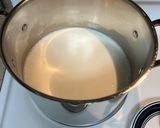 A picture of step 1 of Chenna Cheese 🧀.