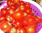 صورة لخطوة 1 من وصفة تفريز الطماطم 🍅لرمضان 🌙