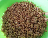 Foto del paso 1 de la receta: Ensalada de lentejas con aliño de mostaza y miel