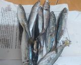 Foto langkah ke 1 dari resep Ikan pindang balado / sambel ikan pindang.