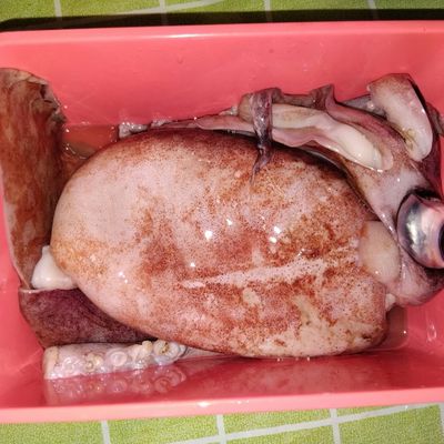 Langkah 1