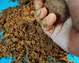 A picture of step 4 of Green moong- jaggery ladoos (saboot moong- gur ke laddoo).