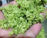Foto langkah ke 5 dari resep Pizza With Broccoli Crust.