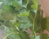 Foto del paso 1 de la receta: Perejil deshidratado (hecho en casa)