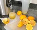 Foto del paso 3 de la receta: Limonada con mentha spicata