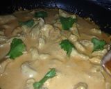 Foto del paso 3 de la receta: Strodonoff de Pollo!!!