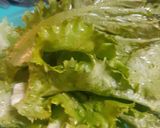 Foto del paso 1 de la receta: Ensalada de lechuga orejona