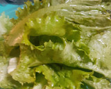 Foto del paso 1 de la receta: Ensalada de lechuga orejona