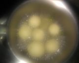 A picture of step 5 of Rasgulla.