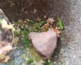 รูปขั้นตอนการทำที่ 3 ของ ผัดสะตอปักษ์ใต้