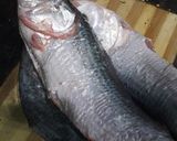 A picture of step 1 of Whole fish fry.