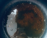 Foto del paso 2 de la receta: Pollo a la cerveza