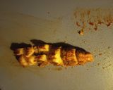 Foto del paso 6 de la receta Rape Alangostado