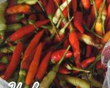 Foto langkah ke 2 dari resep Tips Menyimpan Cabe Agar Tahan Lama.
