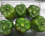 Foto del paso 2 de la receta: Ajíes rellenos (y una idea)