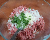 Foto del paso 3 de la receta: Hamburguesas de régimen