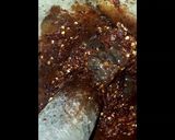 รูปขั้นตอนการทำที่ 4 ของ น้ำพริกไข่เค็มแบบผัด