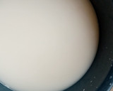 A picture of step 3 of Coconut milk without blender.