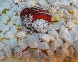 Pas rețetă Torta Mimosa 16 fotografie